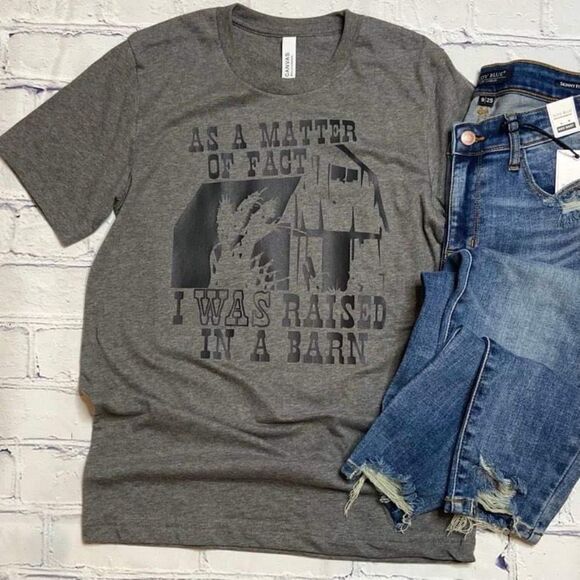 As A Matter Of Fact, I Was Raised In A Barn T-shirt - Picture 1 of 1
